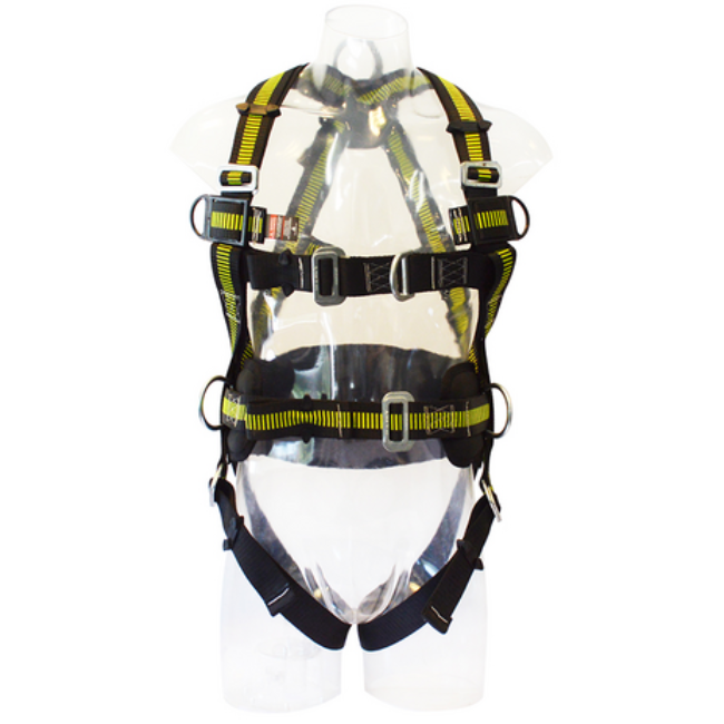 Arnes Cuerpo Completo. 4 Puntos